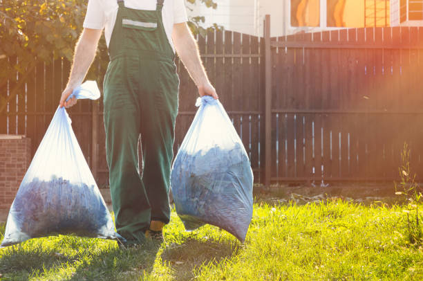 Best Electronics and E-Waste Disposal  in Goodyear, AZ